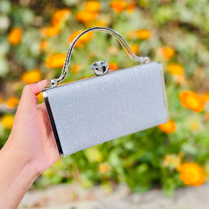 Gleam Clutch Fancy Clutch