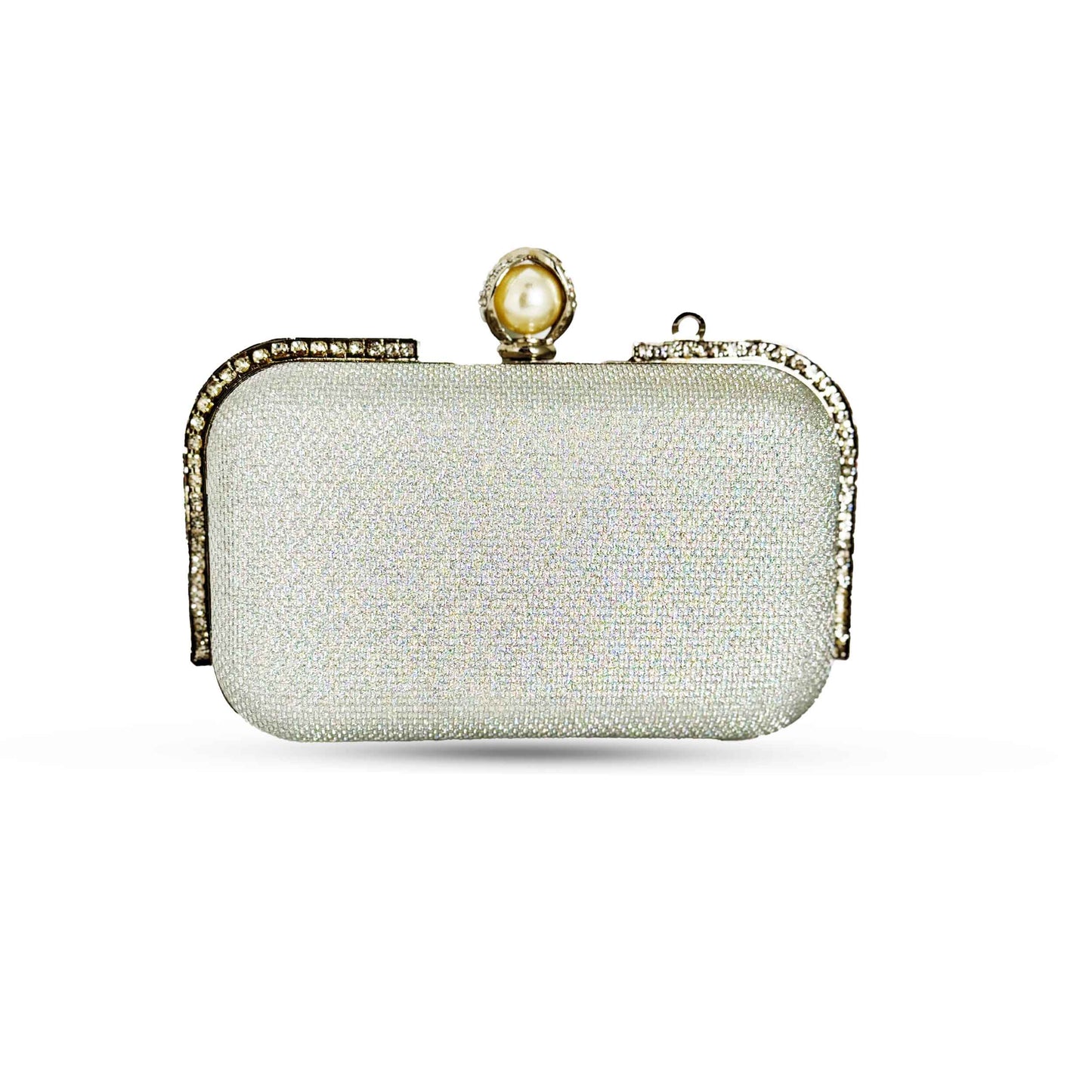 Big Shine Box Fancy Clutch