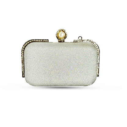 Big Shine Box Fancy Clutch