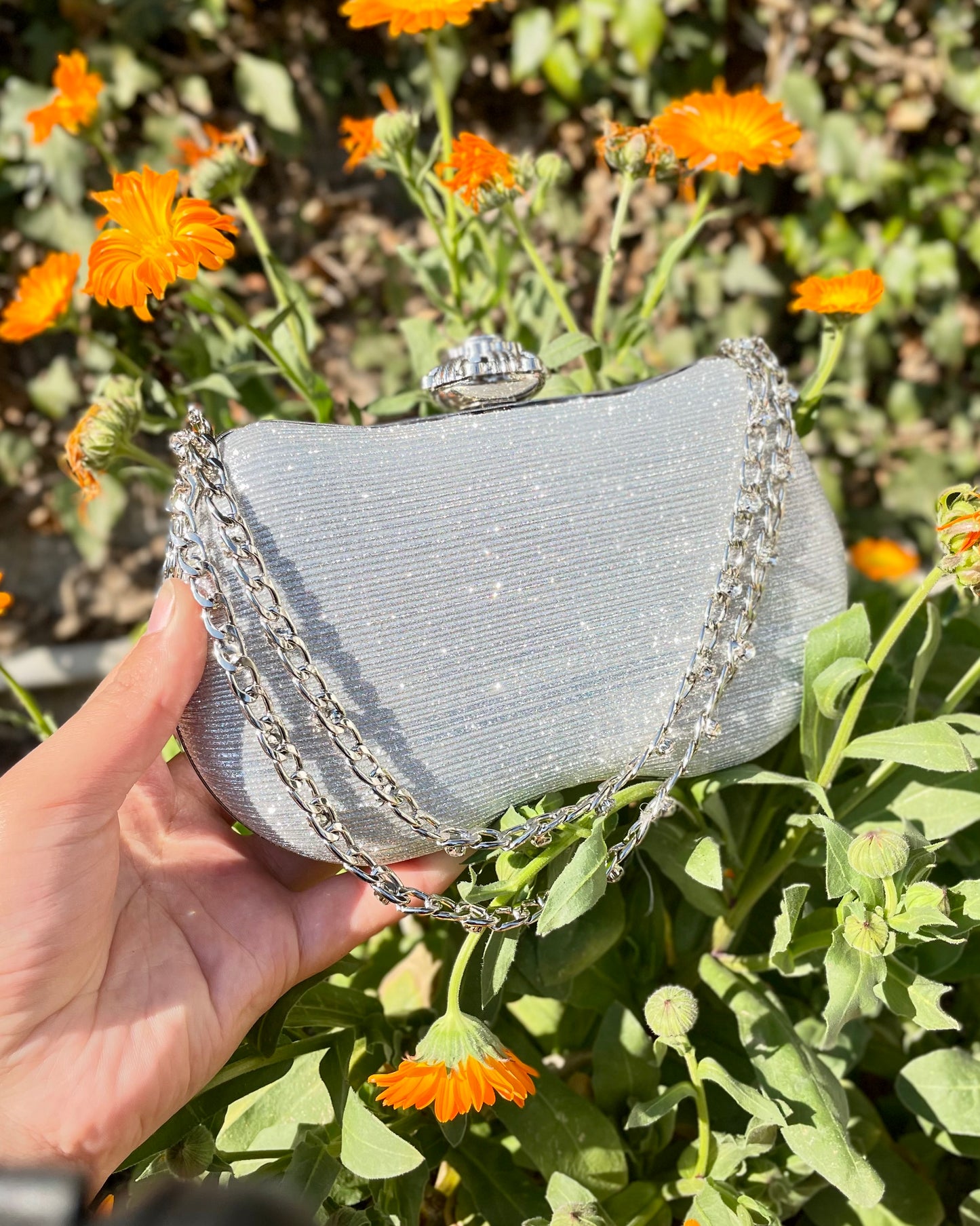 Royal Crown Fancy clutch