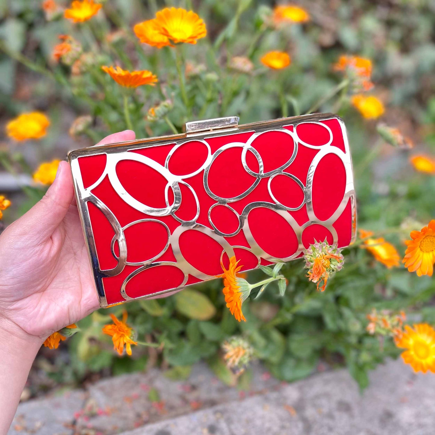 Regal Radiance Fancy Clutch