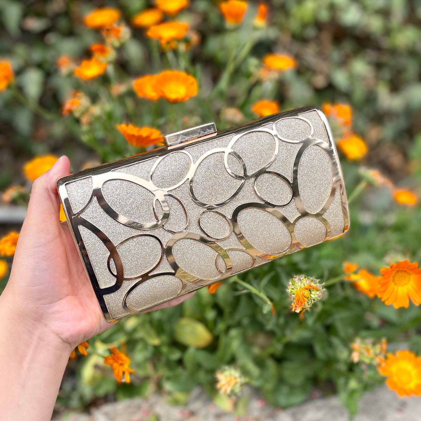 Regal Radiance Fancy Clutch