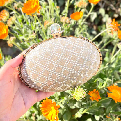 Oval Aura fancy Clutch