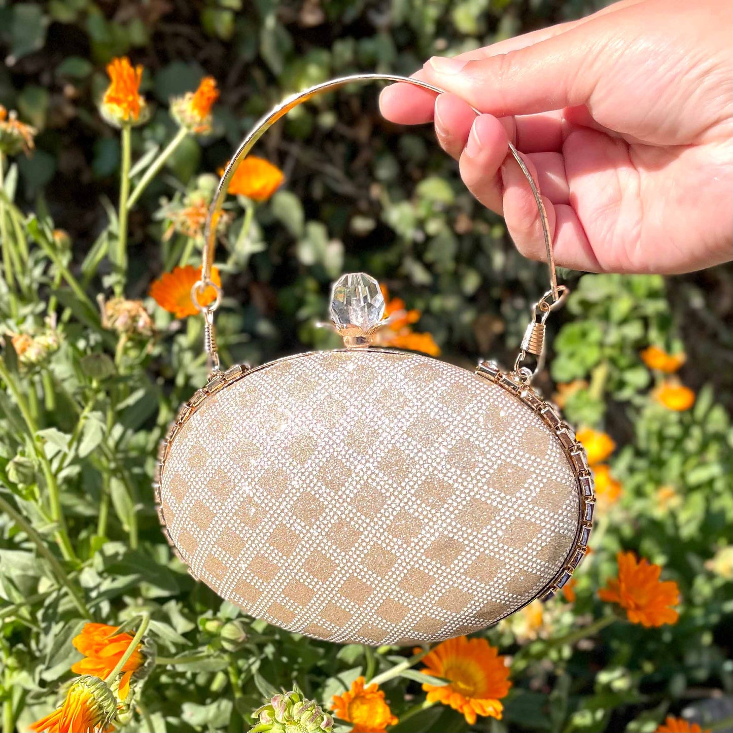 Oval Aura fancy Clutch