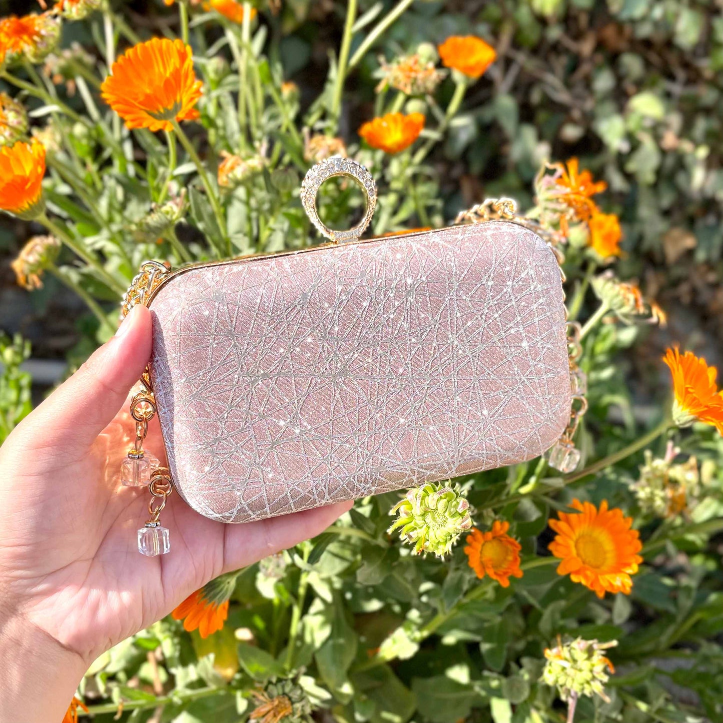 Opal Eclipse Fancy clutch