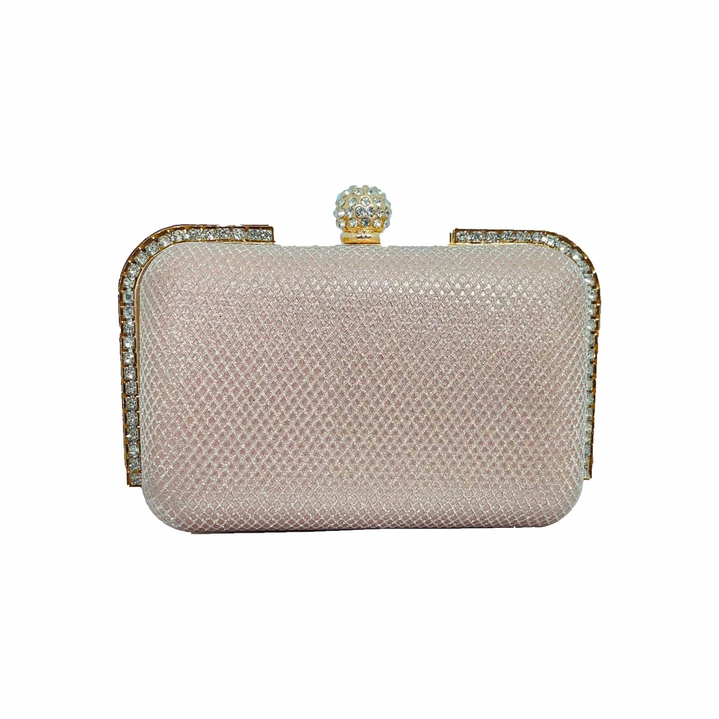 Shine Box Fancy Clutch