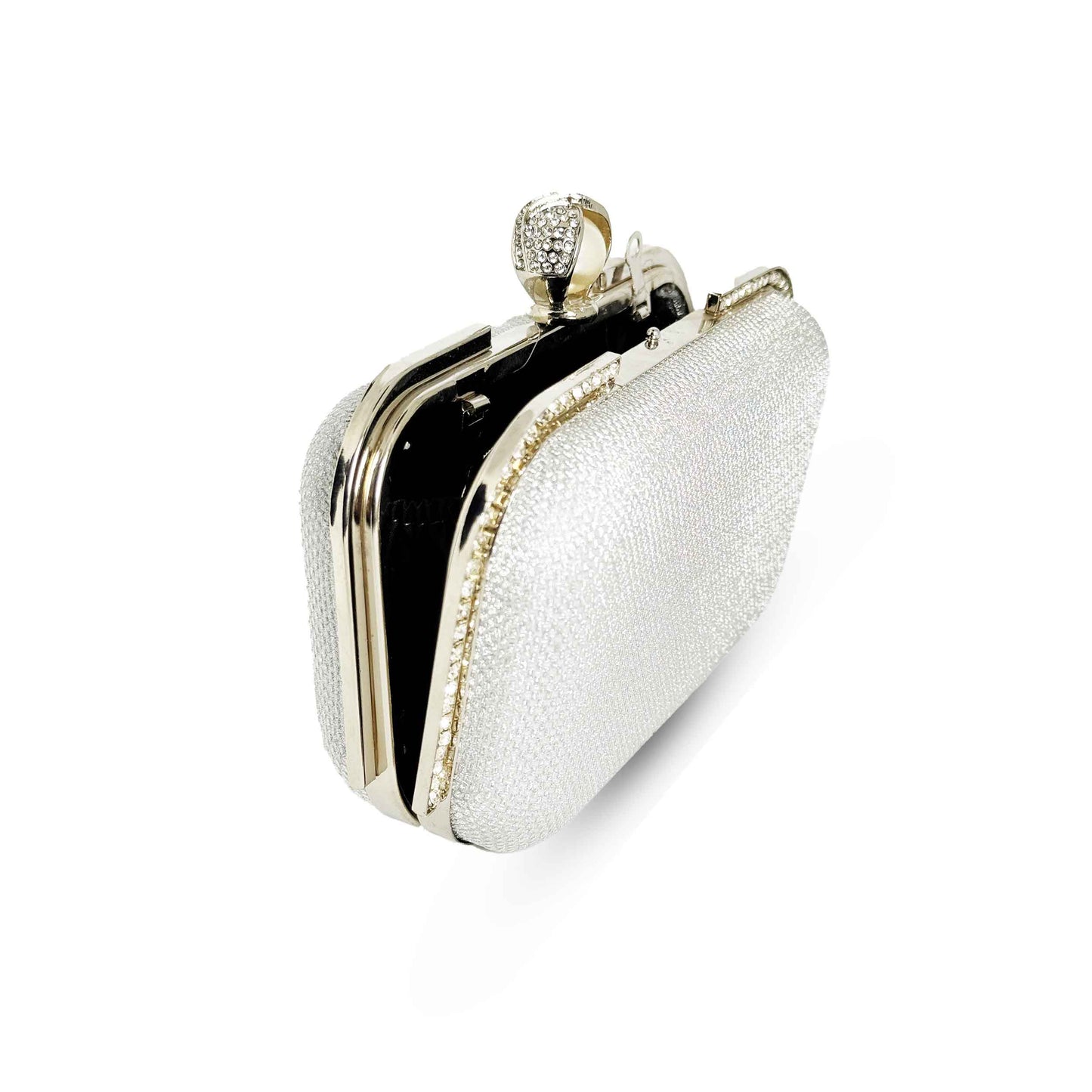 Big Shine Box Fancy Clutch