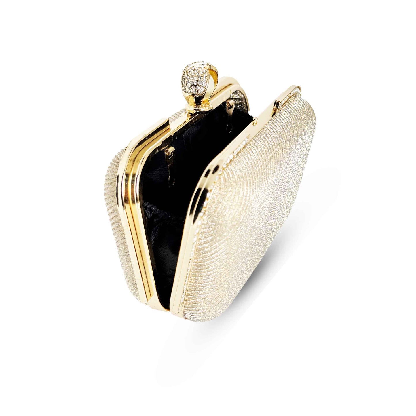 Big Shine Box Fancy Clutch